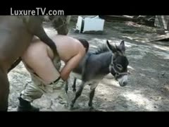 A donkey grabs a man's sex satisfaction by bonking his anal.